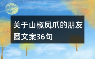 關(guān)于山椒鳳爪的朋友圈文案36句