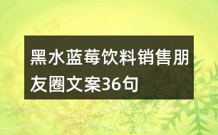 黑水藍莓飲料銷售朋友圈文案36句