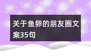 關(guān)于魚卵的朋友圈文案35句