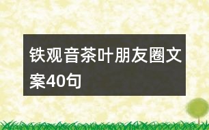 &quot;鐵觀音茶葉朋友圈文案	&quot;40句