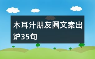 木耳汁朋友圈文案出爐35句