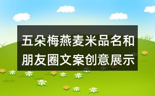 五朵梅燕麥米品名和朋友圈文案創(chuàng)意展示36句