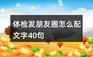 體檢發(fā)朋友圈怎么配文字40句