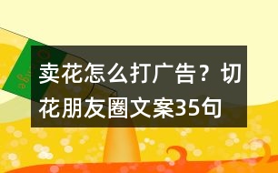 賣花怎么打廣告？切花朋友圈文案35句