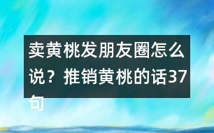 賣黃桃發(fā)朋友圈怎么說？推銷黃桃的話37句