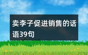 賣李子促進銷售的話語39句