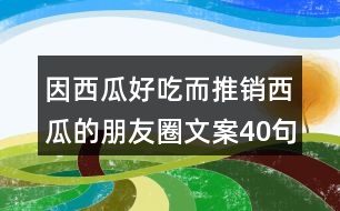 因西瓜好吃而推銷(xiāo)西瓜的朋友圈文案40句