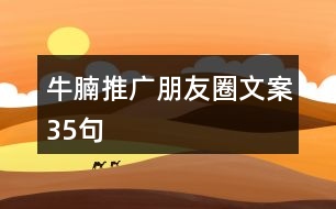 牛腩推廣朋友圈文案35句