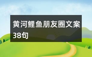 黃河鯉魚朋友圈文案38句