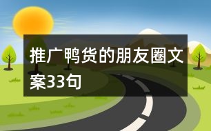 推廣鴨貨的朋友圈文案33句