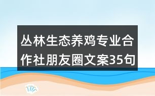 叢林生態(tài)養(yǎng)雞專(zhuān)業(yè)合作社朋友圈文案35句