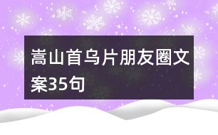 嵩山首烏片朋友圈文案35句