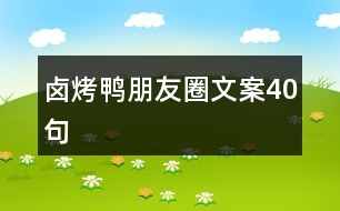 鹵烤鴨朋友圈文案40句