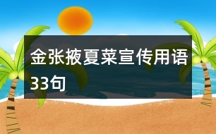 金張掖夏菜宣傳用語33句