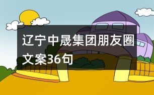 遼寧中晟集團朋友圈文案36句