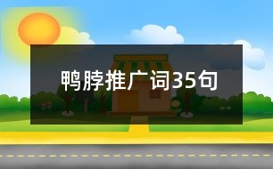 鴨脖推廣詞35句