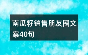 南瓜籽銷售朋友圈文案40句