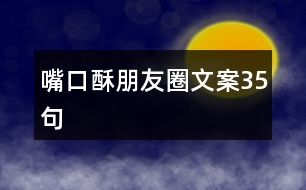 嘴口酥朋友圈文案35句