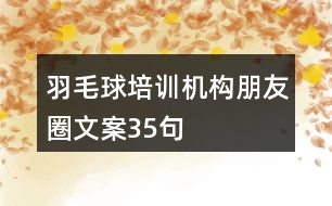 羽毛球培訓(xùn)機(jī)構(gòu)朋友圈文案35句