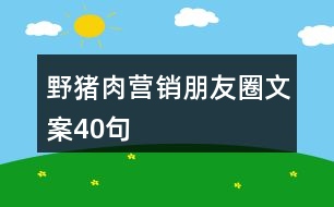 野豬肉營(yíng)銷朋友圈文案40句