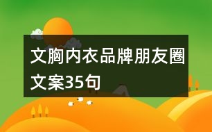 文胸內(nèi)衣品牌朋友圈文案35句