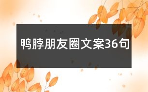 鴨脖朋友圈文案36句