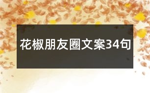 花椒朋友圈文案34句