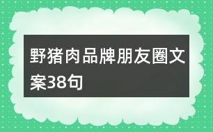 野豬肉品牌朋友圈文案38句