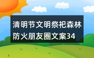 清明節(jié)文明祭祀、森林防火朋友圈文案34句