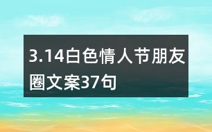 3.14白色情人節(jié)朋友圈文案37句