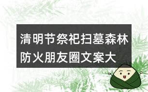 清明節(jié)祭祀、掃墓森林防火朋友圈文案大全40句