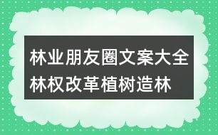 林業(yè)朋友圈文案大全：林權(quán)改革、植樹造林朋友圈文案36句