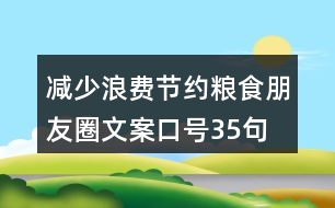 減少浪費(fèi)、節(jié)約糧食朋友圈文案口號(hào)35句