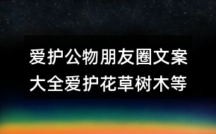 愛護(hù)公物朋友圈文案大全：愛護(hù)花草樹木等朋友圈文案32句