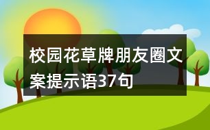 校園花草牌朋友圈文案提示語37句