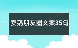 賣鵝朋友圈文案35句