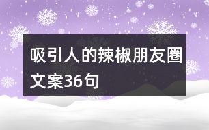 吸引人的辣椒朋友圈文案36句