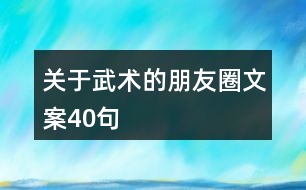 關于武術的朋友圈文案40句