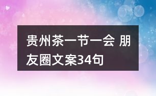 “貴州茶一節(jié)一會(huì)” 朋友圈文案34句