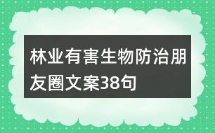 林業(yè)有害生物防治朋友圈文案38句