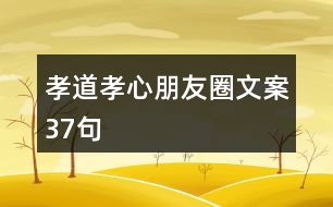 孝道、孝心朋友圈文案37句