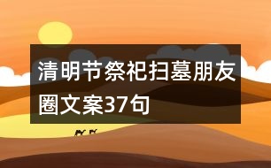 清明節(jié)祭祀、掃墓朋友圈文案37句