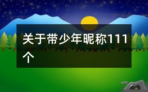 關(guān)于帶少年昵稱111個(gè)