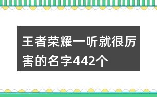 王者榮耀一聽就很厲害的名字442個(gè)