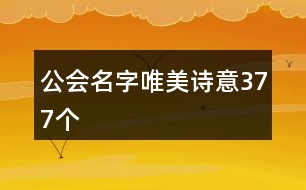 公會名字唯美詩意377個