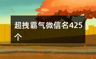 超拽霸氣微信名425個(gè)