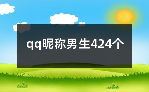 qq昵稱男生424個