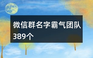 微信群名字霸氣團隊389個