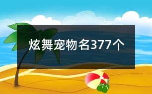 炫舞寵物名377個