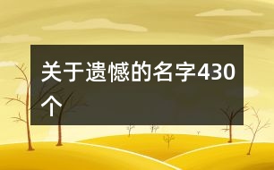 關于遺憾的名字430個